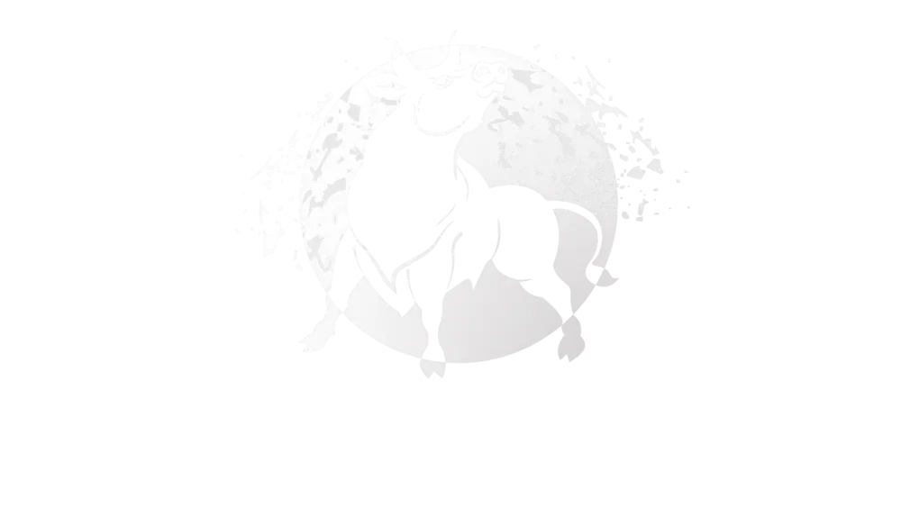 Šumi d.o.o. Zenica